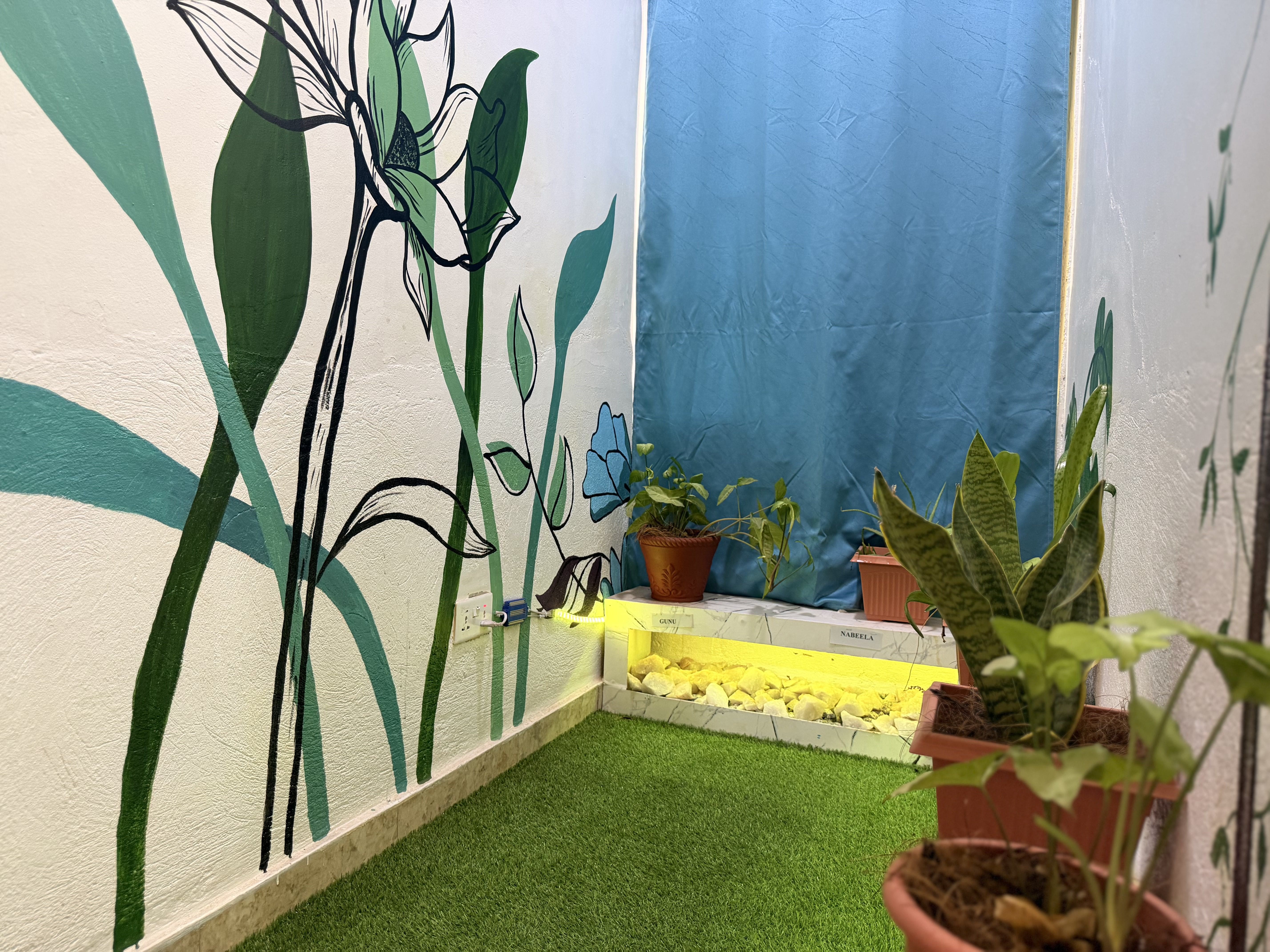 Clinic Garden