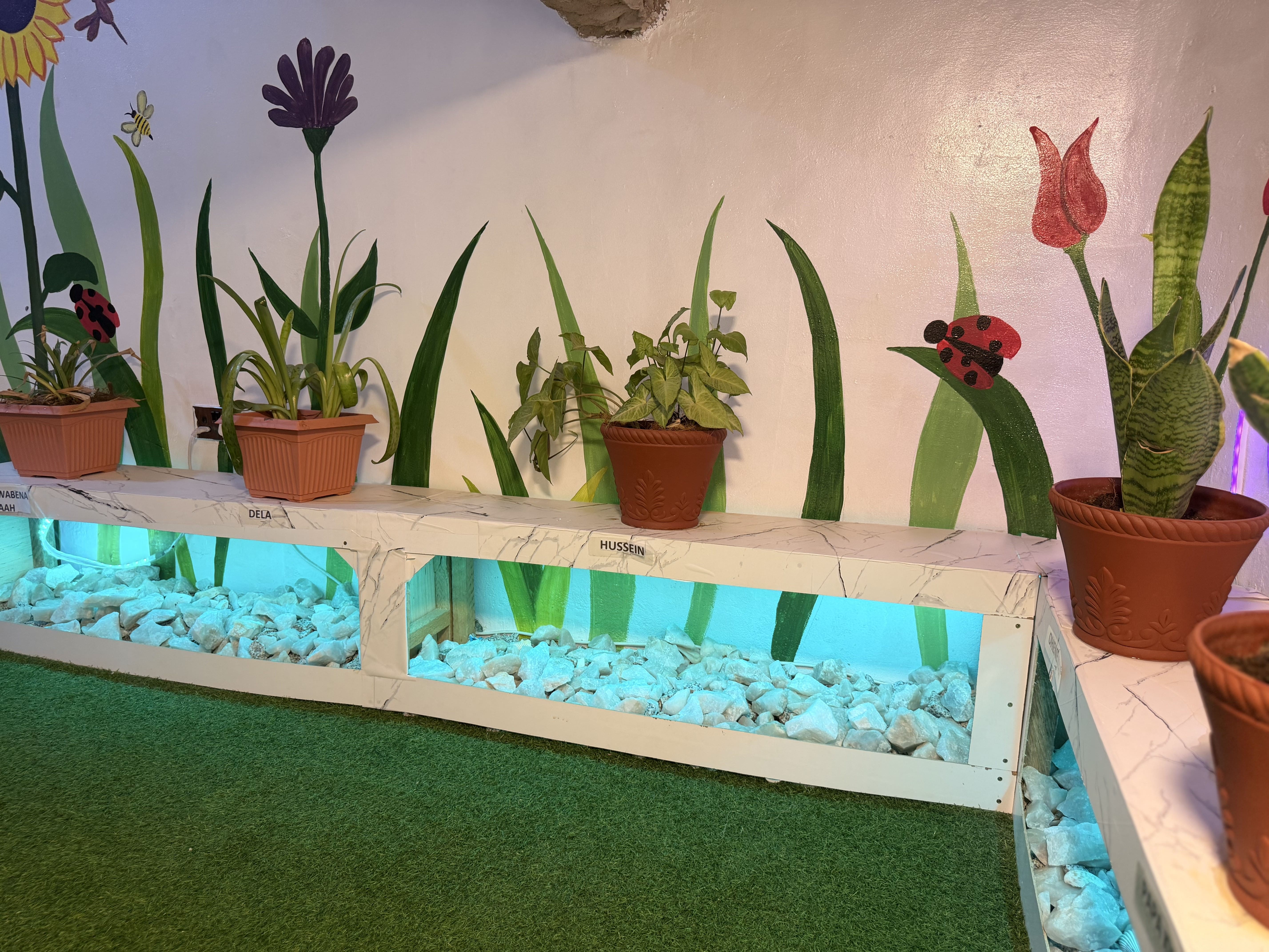 Garden Area